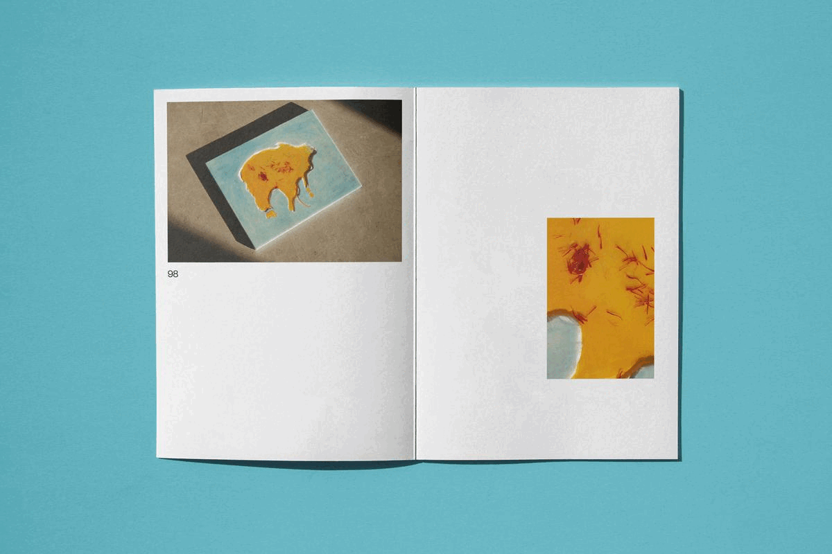 Book image 4