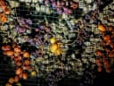 Black Couscous 2014 - Thumbnail 7