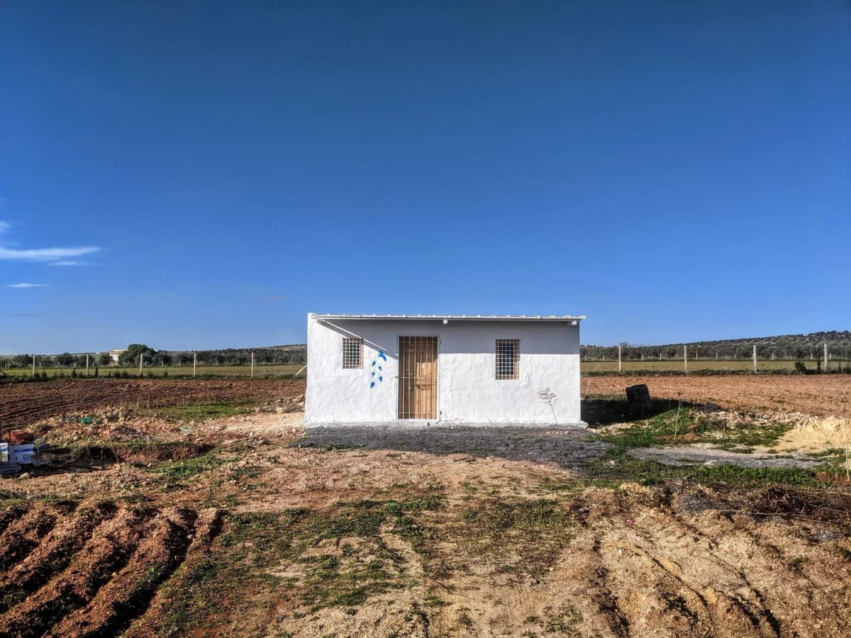 Fish in, Fish Out - Image 1