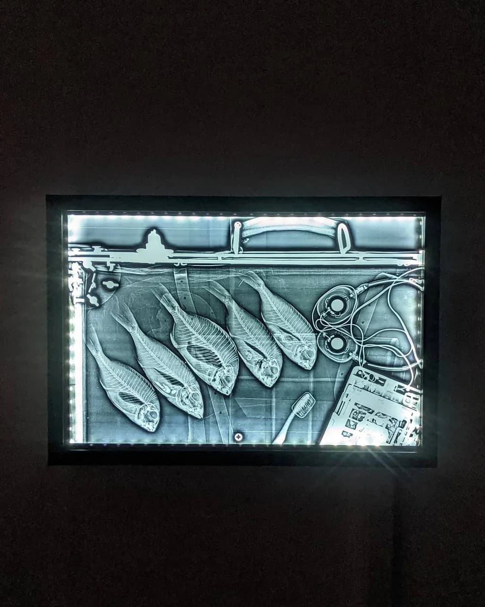 The Fish Smuggler - Image 1