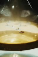 Olive Smoke - Thumbnail 2