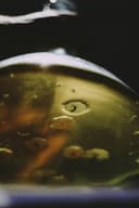 Olive Smoke - Thumbnail 3